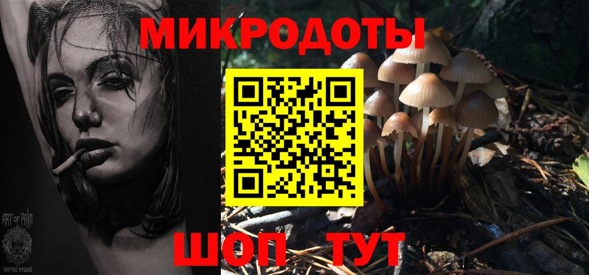 Псилоцибиновые грибы мицелий  Вход с VPN  Гусиноозёрск 