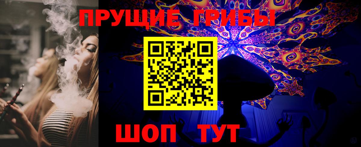 Псилоцибиновые грибы мухоморы Гусиноозёрск