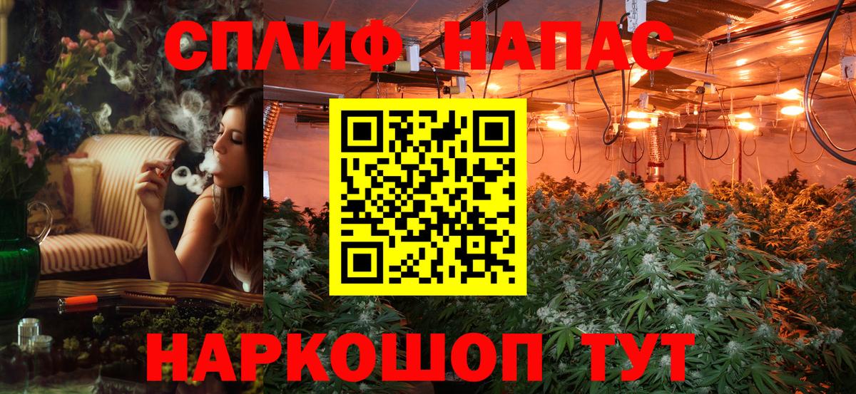 Бошки марихуана план Гусиноозёрск